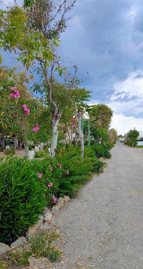Camping Village Torrenova Cirò Marina Eksteriør bilde