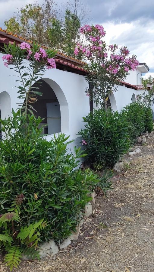 Camping Village Torrenova Cirò Marina Eksteriør bilde