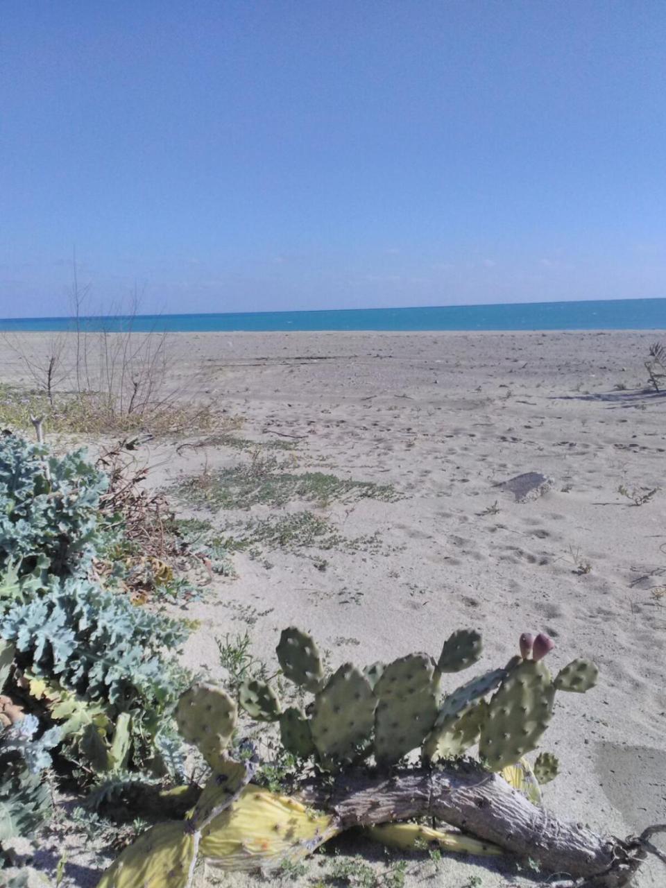 Camping Village Torrenova Cirò Marina Eksteriør bilde